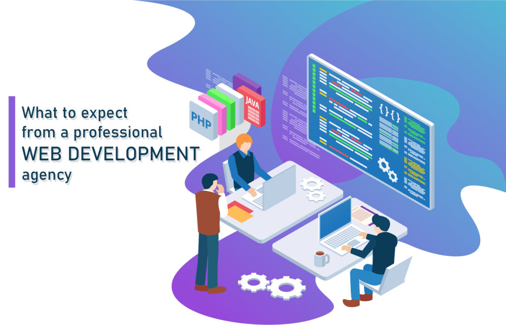 What to expect from a professional web development agency