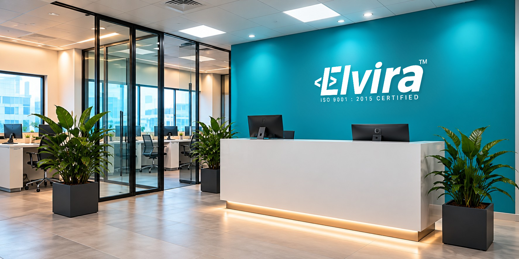 About Elvira Infotech